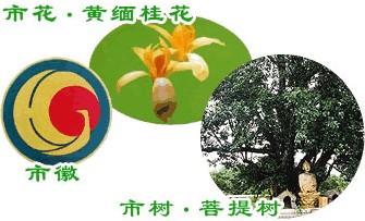 景洪市——市徽、市树及市花